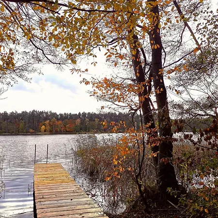 Seensucht - Am & Im Wald Mit Kamin 林多