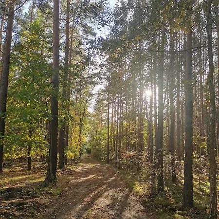 度假居 Seensucht - Am & Im Wald Mit Kamin *