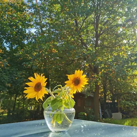 Seensucht - Am & Im Wald Mit Kamin 林多