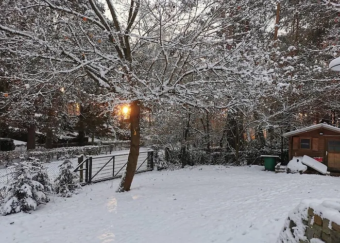 Seensucht - Am & Im Wald Mit Kamin