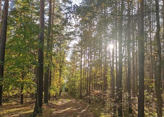 Сasa de vacaciones Seensucht - Am & Im Wald Mit Kamin *