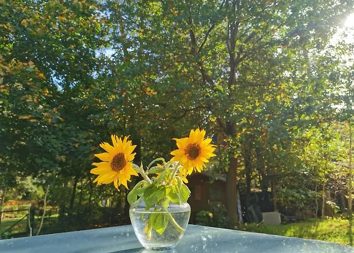 Seensucht - Am & Im Wald Mit Kamin Lindow