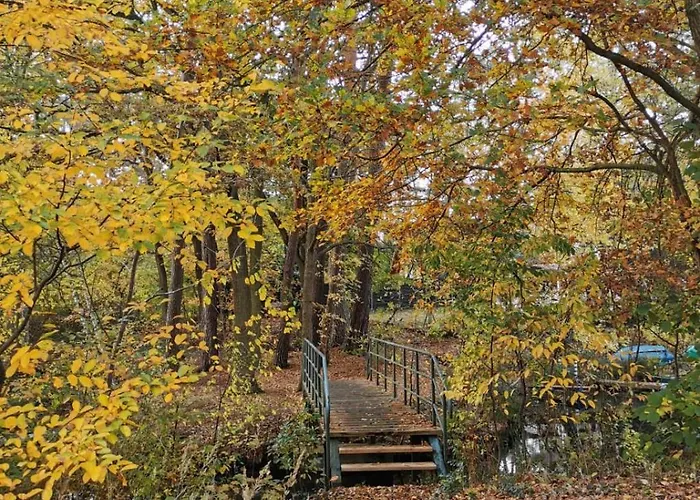 Seensucht - Am & Im Wald Mit Kamin Lindow
